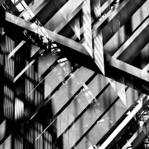 Spike Photo Art by Jorge Possollo - Photograph Reflections